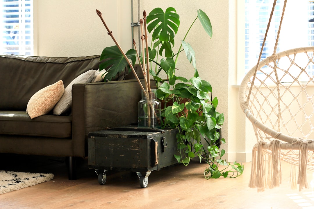Quel fauteuil suspendu choisir pour un coin detente tendance.jpg